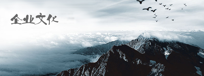 Hubei Hanye Chemical Industry Co., Ltd.